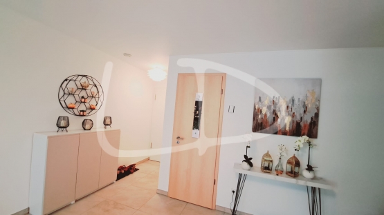 WhatsApp Image 2023-09-23 at 08.40.35 (3).jpeg